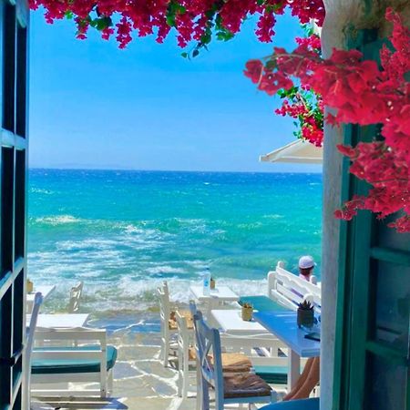 La Bouganville Lido di Ostia Bagian luar foto